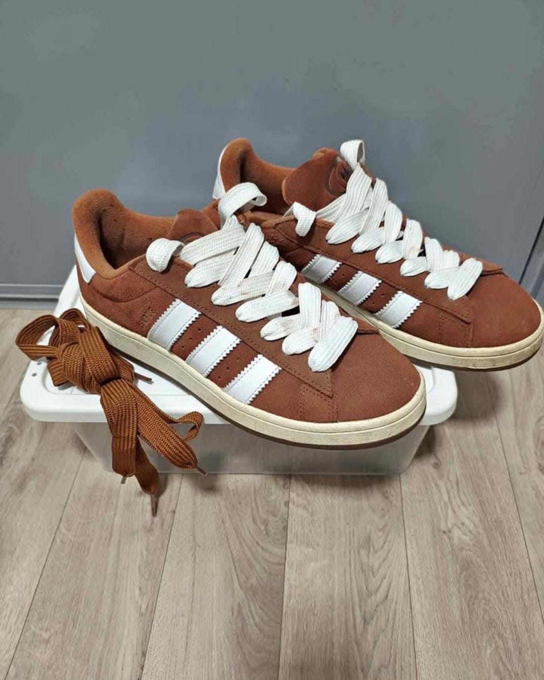 Adidas Dogs Shoes Australia