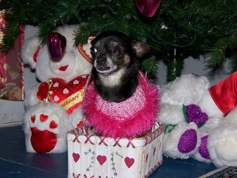 Dog Sweater Handknit Pink Poodle Shirt Puppy Clothes Blue Teacup Chihuahua Cat Coat Hand Knit Shih Tzu Dog Coat Yorky Item Westy