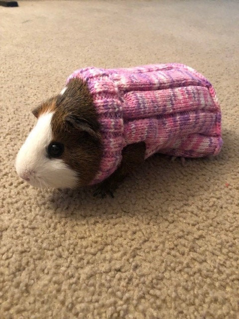 Guinea Pig Sweater Guinea Pig Shirt Guinea Pig Clothes Etsy