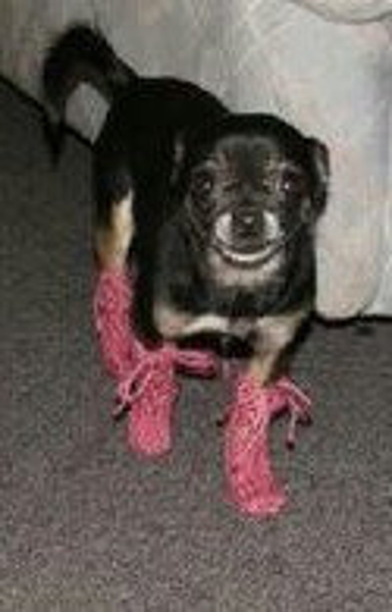 Pink Poodle Puppy Winter Leg Warmers Handmade Chihuahua Dog Etsy