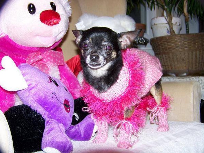 Pink Poodle Puppy Winter Leg Warmers Handmade Chihuahua Dog Etsy