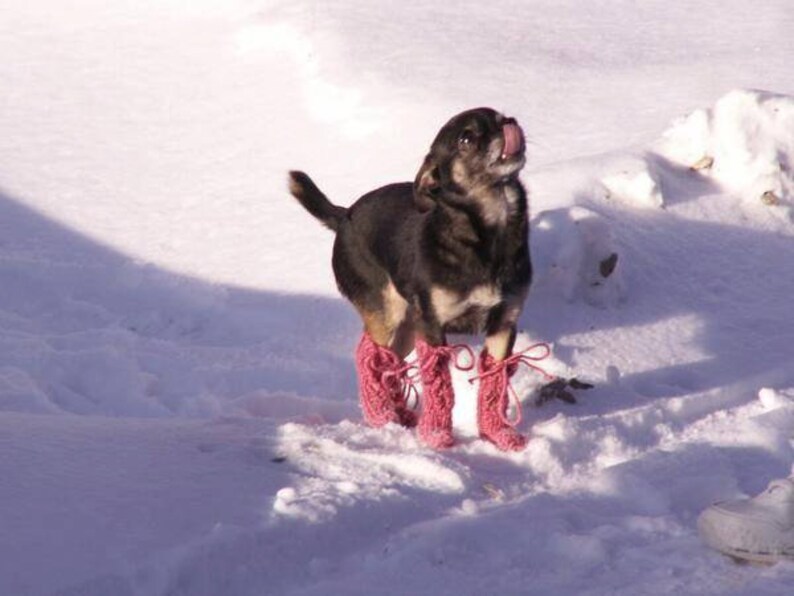 Pink Poodle Puppy Winter Leg Warmers Handmade Chihuahua Dog Etsy