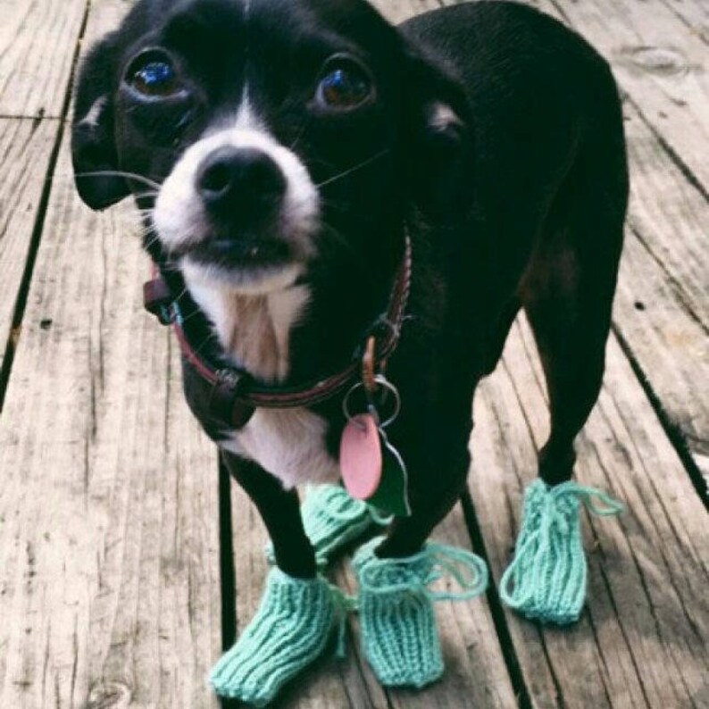 Pink Poodle Puppy Winter Leg Warmers Handmade Chihuahua Dog Etsy