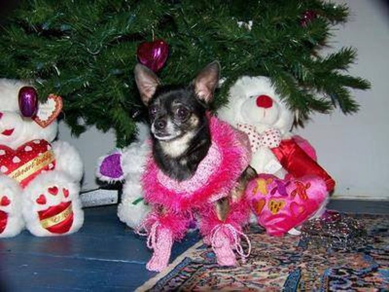 Dog Sweater Handknit Pink Poodle Shirt Puppy Clothes Blue Teacup Chihuahua Cat Coat Hand Knit Shih Tzu Dog Coat Yorky Item Westy