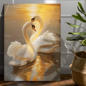 May include: Two white swans with their necks intertwined, swimming in golden sunset water. The swans are in a romantic pose, with their heads touching.