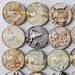 Vintage Peter Rabbit Storybook Retro Glass Refrigerator Magnets - Etsy