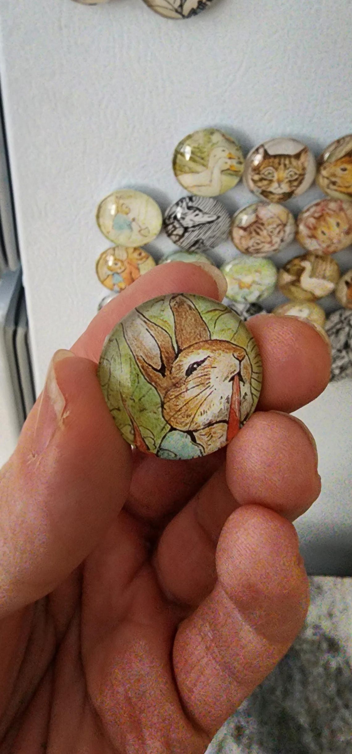 Vintage Peter Rabbit Storybook Retro Glass Refrigerator Magnets - Etsy