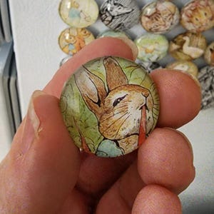 Vintage Peter Rabbit Storybook Retro Glass Refrigerator Magnets - Etsy