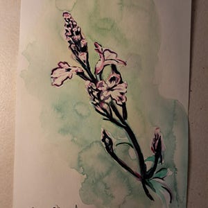 Fleur Verveine Citronnelle