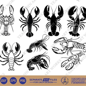 Lobster SVG, Lobster Vector, Silhouette, Cricut file, Clipart, Cuttable Design, Png, Dxf & Eps Designs.