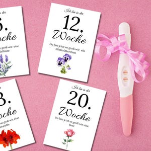 Cartes des étapes de la grossesse - Cartes hebdomadaires pour le ventre de bébé - Cartes des étapes de la grossesse - Cadeau pour femme enceinte - Jalons