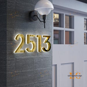 May include: Gold-colored illuminated house numbers, "2513", mounted on a textured gray wall. A black wall-mounted light fixture with a white globe is above the numbers. The numbers are lit from behind, creating a glowing effect.
