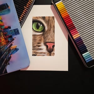Hand-drawn colored pencil, Realistic Cat Portrait – Colored Pencil Artwork