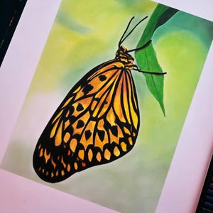 Arte realistica di farfalla disegnata a mano – Disegno originale a matita colorata su carta A4
