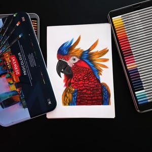 Arte di pappagallo vibrante disegnata a mano – Disegno originale a matita colorata su carta Canson A4