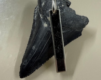 シルバーメガロドンの歯のペンダント、先史時代のサメの化石ネックレス