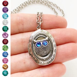 Owl Birthstone Locket Necklace Custom Jewelry Gift for Her