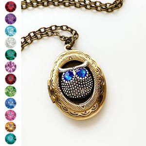 Owl Birthstone Locket Necklace Custom Jewelry Gift for Her