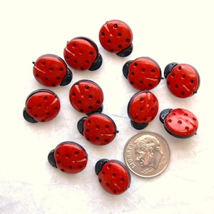 May include: A collection of red ladybug-shaped embellishments with black accents and small black dots. A coin is included for size comparison. These decorative ladybug embellishments are ideal for craft projects.
