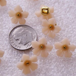 May include: A collection of pale peach, five-petaled flower buttons, each featuring a small gold-toned center and a gold-toned shank on the back. A silver-colored United States dime is positioned among the buttons to provide a clear scale reference.