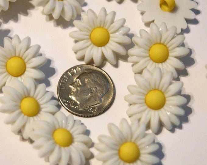 6 Daisy Flower Buttons 3/4