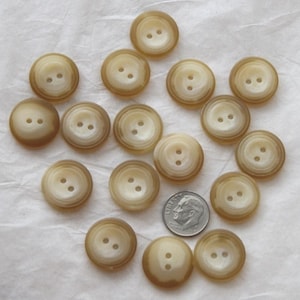 15 Buttons, Faux Horn / Tortoise Shell, 3/4" Matching Buttons  (Ak 113)