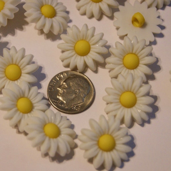 6 Daisy Flower Buttons 3/4"  Daisy Buttons, Off White, Shank Plastic Resin (T 43b)