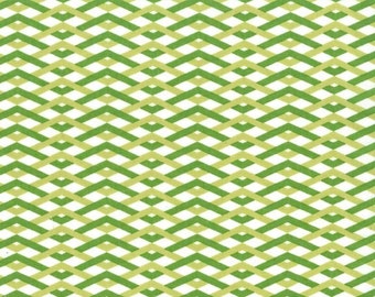 Technicolor - Braid in Leaf by Emily Herrick- 1 yard - Michael Miller Fabric