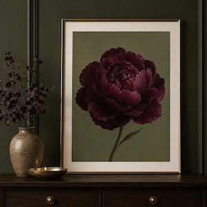 May include: A framed wall art print featuring a single, large, deep burgundy peony flower centred against a muted olive green background. The artwork is enclosed in a thin gold frame with a wide white mount, showcasing a detailed floral illustration.