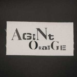 May include: White fabric label with black text that reads "AgNt OranGe".