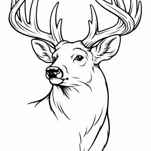 May include: A black and white illustration of a deer's head and upper body. The deer has large antlers with multiple points. The image is a detailed line drawing, with shading used to define the deer's features and form.