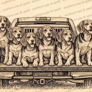 Pode incluir: Ilustração em tons sépia de seis cães Beagle na carroceria de uma pick-up. Os cães, de tamanhos e poses variadas, estão todos com a língua de fora. A carroceria é detalhada com uma porta traseira e um engate. O fundo tem o texto "southern saw & spark".