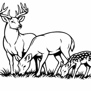May include: Black and white illustration of a deer family. A large buck with antlers stands watch over a doe and a fawn, all grazing on grass. The image is a simple, clean design.