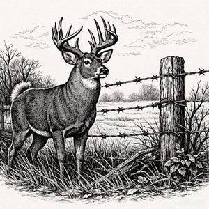 Whitetail buck standing beside a rustic barbed wire fence PNG ONLY