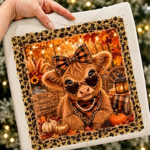 May include: A white sweatshirt featuring a graphic of a fluffy highland cow wearing heart-shaped sunglasses, a plaid bow, and a pearl necklace. The design includes a wooden sign with the text Blessed Grateful Thankful, pumpkins, and a lantern.