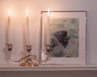 DigitalPrint of Seal in Howth, Dublin, Ireland for decoration or screensaver