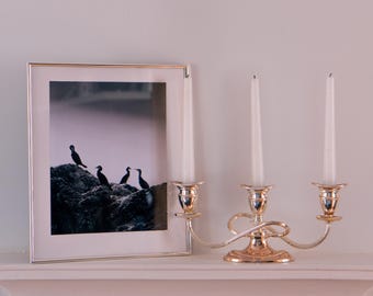 DigitalPrint of Cormorants, Ireland's Eye for decoration or screensaver