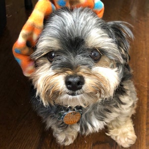 Dog Hat, Dog Beret Hat,  Dog Beret, Dog Cap, Fall Dog Hat, Winter Dog Hat