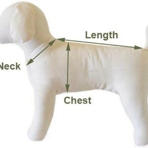 May include: Diagram showing how to measure a dog for a clothing item. The diagram shows a white dog with arrows pointing to the neck, chest, and length measurements.