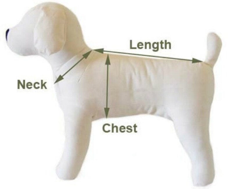 May include: Diagram showing how to measure a dog for a clothing item. The diagram shows a white dog with arrows pointing to the neck, chest, and length measurements.