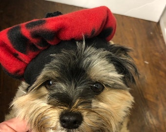 May include: A small dog wearing a red and black patterned beret. The dog has a black nose, and its fur is a mix of black, brown, and tan. The beret is red with black spots and a black band.