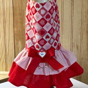 Valentine’s Day Dog Dress: Custom Pet Clothing, Monogram Option image 1