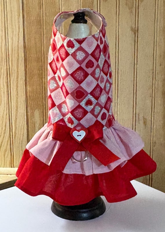 Valentine’s Day Dog Dress: Custom Pet Clothing, Monogram Option