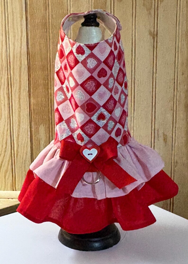 Valentine’s Day Dog Dress: Custom Pet Clothing, Monogram Option image 1