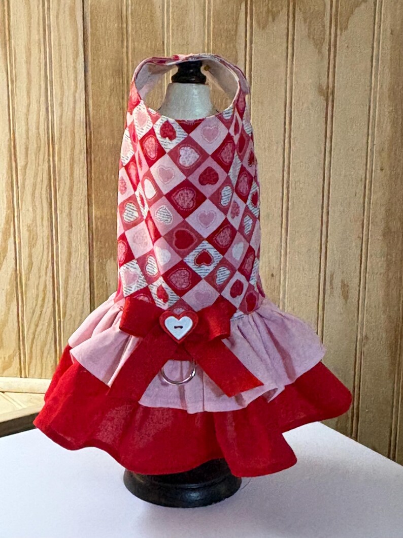 Valentine’s Day Dog Dress: Custom Pet Clothing, Monogram Option image 5