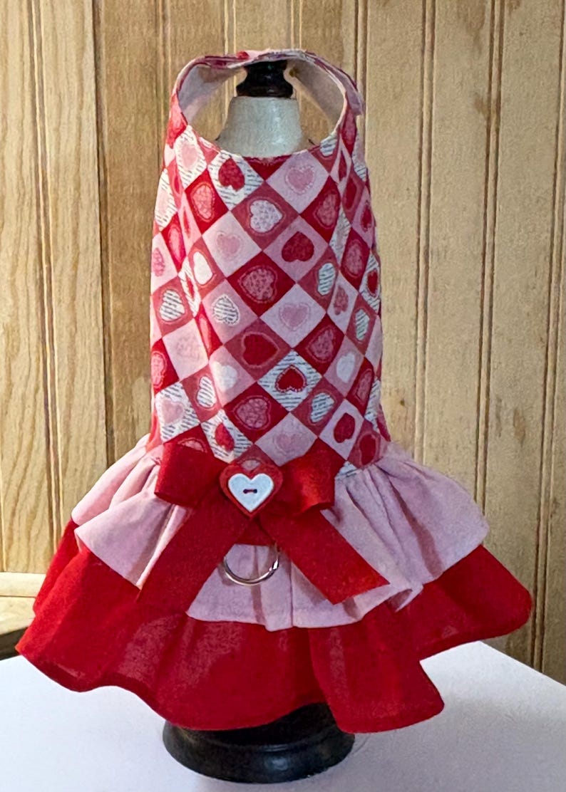 Valentine’s Day Dog Dress: Custom Pet Clothing, Monogram Option image 2