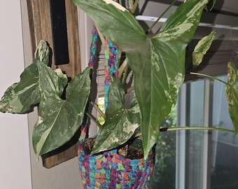 Crochet Indoor Plant Hanger