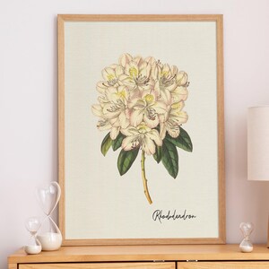 Rhododendron Watercolor Art, Floral Digital Print, Spring Flower Painting, Botanical Wall Decor, Instant Download, Pastel Home Decor