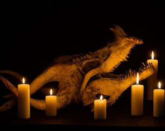 XL Dragon Skull Prop: Handcrafted Mythical Beast Fossil - Gothic Lair Decor