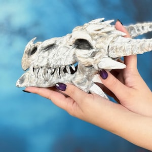 Deagon Skull – Medium-Sized White & Gray Dragon Relic